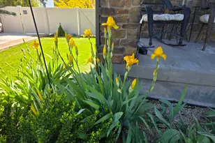 2692 S Stillwater Dr, Saratoga Springs, UT 84045 - Photo 47