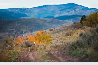 7394 E Moon Light Dr #C3.11, Heber City, UT 84032 - Photo 49