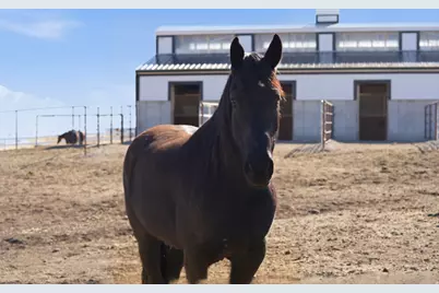 6770 W 400 S, Mendon, UT 84325 - Photo 109
