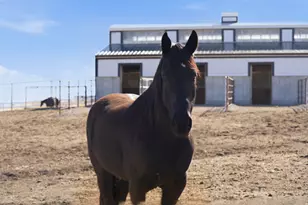 6770 W 400 S, Mendon, UT 84325 - Photo 109