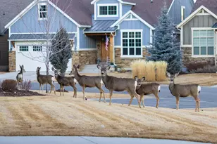 431 N Fairway Dr, Midway, UT 84049 - Photo 39