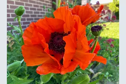 3984 S Luetta Dr, Millcreek, UT 84124 - Photo 45