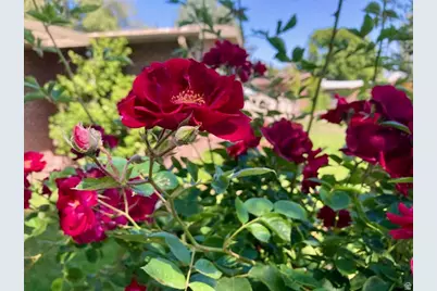 3984 S Luetta Dr, Millcreek, UT 84124 - Photo 43