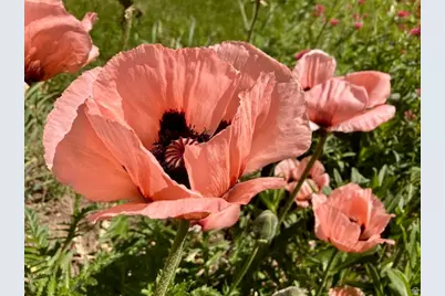 3984 S Luetta Dr, Millcreek, UT 84124 - Photo 47