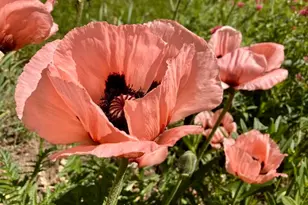 3984 S Luetta Dr, Millcreek, UT 84124 - Photo 47