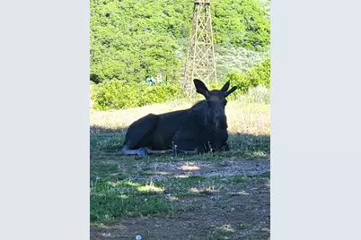 11360 Skyline Dr #170, Echo, UT 84024 - Photo 23