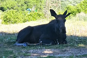 11360 Skyline Dr, Echo, UT 84024 - Photo 23