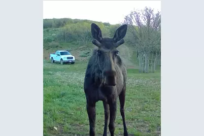 11360 Skyline Dr #170, Echo, UT 84024 - Photo 21