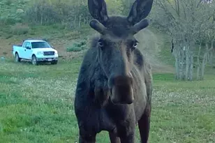 11360 Skyline Dr, Echo, UT 84024 - Photo 21