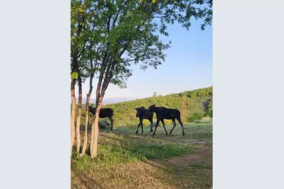 11360 Skyline Dr #170, Echo, UT 84024 - Photo 19