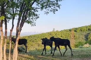 11360 Skyline Dr, Echo, UT 84024 - Photo 19