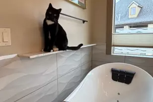 6623 S Hidden Cv, Cottonwood Heights, UT 84121 - Photo 21