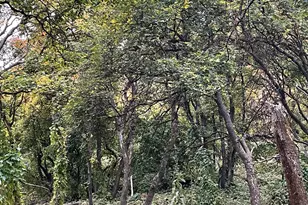 414 Juniper Ct, Wellsville, UT 84339 - Photo 19