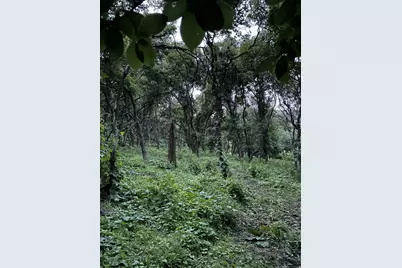 414 Juniper Ct, Wellsville, UT 84339 - Photo 21