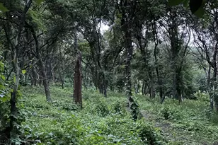 414 Juniper Ct, Wellsville, UT 84339 - Photo 21