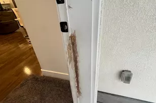 3473 N Delta St, Eagle Mountain, UT 84005 - Photo 19