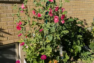 407 N 200 E, Kaysville, UT 84037 - Photo 23