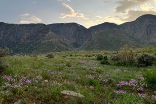 [Address not provided], Scipio, UT 84656 - Photo 1