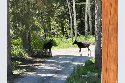 6272 S Moose Ln, Brighton, UT 84121 - Photo 5