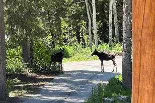 6272 S Moose Run Ln, Salt Lake City, UT 84121 - Photo 5