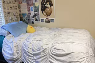 948 N 50 E, Provo, UT 84604 - Photo 11