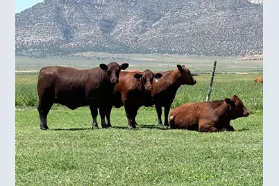 1325 E 6248 N, Ephraim, UT 84627 - Photo 11