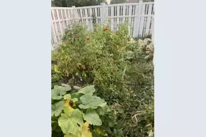 11493 S Marco Polo Ln, South Jordan, UT 84095 - Photo 69