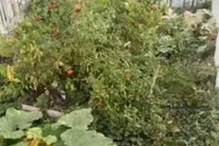 11493 S Marco Polo Ln, South Jordan, UT 84095 - Photo 69