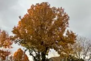 11493 S Marco Polo Ln, South Jordan, UT 84095 - Photo 65