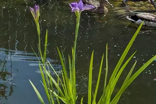 3935 S 7200 W, Magna, UT 84044 - Photo 33