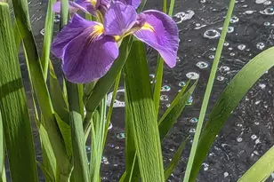 3935 S 7200 W, Magna, UT 84044 - Photo 35