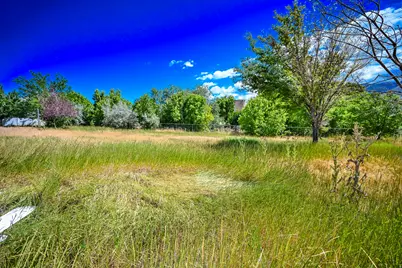 847 E Willow Springs Ln S, Draper, UT 84020 - Photo 23