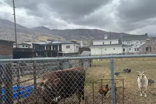 127 S 400 E, Lindon, UT 84042 - Photo 23