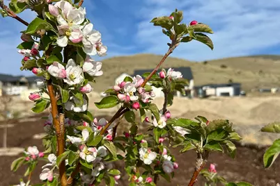 6693 N Unity Way, Eagle Mountain, UT 84005 - Photo 95