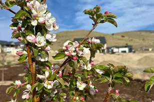 6693 N Unity Wy, Eagle Mountain, UT 84005 - Photo 95