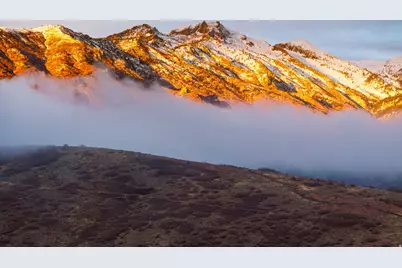 15574 S Mercer Ct #502, Draper, UT 84020 - Photo 11