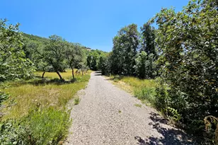 31 Juniper Dr, Fairview, UT 84629 - Photo 7