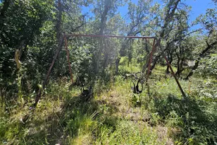 31 Juniper Dr, Fairview, UT 84629 - Photo 39