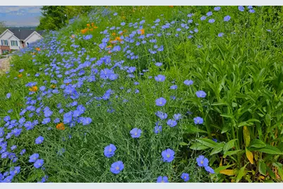 899 E 1190 N, Pleasant Grove, UT 84062 - Photo 57