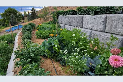 899 E 1190 N, Pleasant Grove, UT 84062 - Photo 59