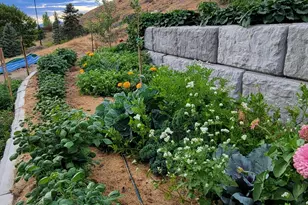 899 E 1190 N, Pleasant Grove, UT 84062 - Photo 59