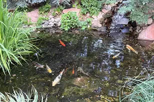 11787 S History Dr, South Jordan, UT 84095 - Photo 67