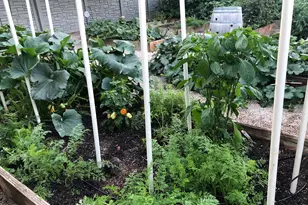 11787 S History Dr, South Jordan, UT 84095 - Photo 77