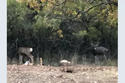 131 S Meadow Dr E #20, Springville, UT 84663 - Photo 21