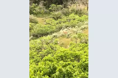 169 S Meadow Dr, Springville, UT 84663 - Photo 11