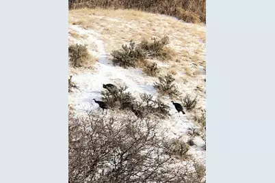 169 S Meadow Dr, Springville, UT 84663 - Photo 15