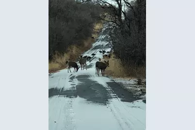 169 S Meadow Dr, Springville, UT 84663 - Photo 13