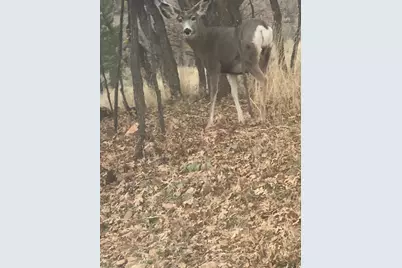 541 S Left Fork Hobb Rd E #8, Springville, UT 84663 - Photo 19