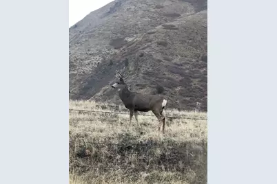 541 S Left Fork Hobb Rd E #8, Springville, UT 84663 - Photo 21