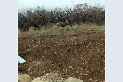 541 S Left Fork Hobb Rd E #8, Springville, UT 84663 - Photo 15